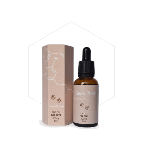 300MG CBD OIL FOR PETS - 30ML