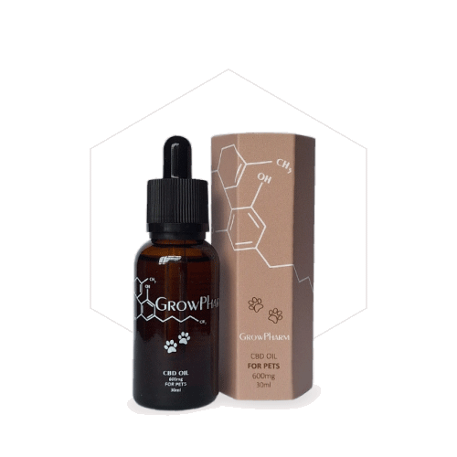 600mg CBD oil for pets